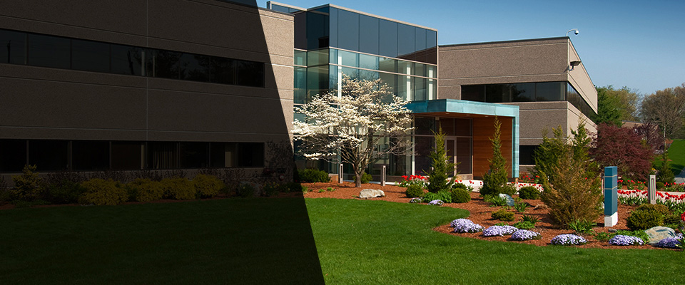 Calverton Landscapers
