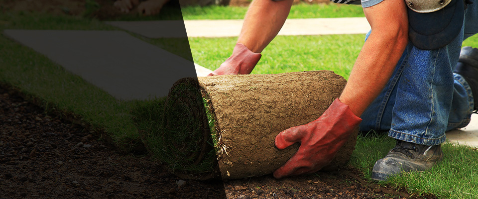 Calverton Landscapers